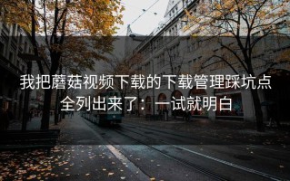 我把蘑菇视频下载的下载管理踩坑点全列出来了：一试就明白