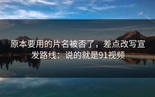 原本要用的片名被否了，差点改写宣发路线：说的就是91视频