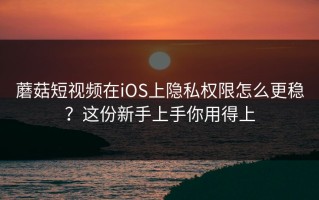 蘑菇短视频在iOS上隐私权限怎么更稳？这份新手上手你用得上