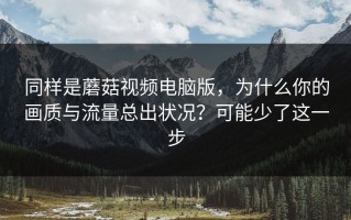 同样是蘑菇视频电脑版，为什么你的画质与流量总出状况？可能少了这一步