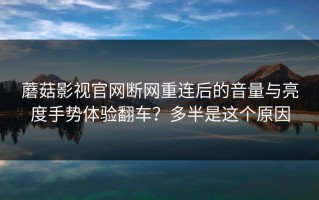 蘑菇影视官网断网重连后的音量与亮度手势体验翻车？多半是这个原因