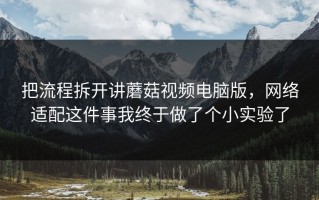 把流程拆开讲蘑菇视频电脑版，网络适配这件事我终于做了个小实验了