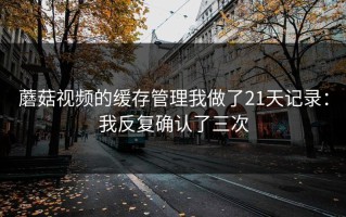 蘑菇视频的缓存管理我做了21天记录：我反复确认了三次