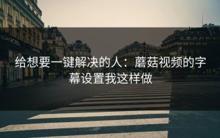 给想要一键解决的人：蘑菇视频的字幕设置我这样做