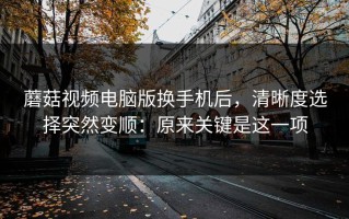 蘑菇视频电脑版换手机后，清晰度选择突然变顺：原来关键是这一项