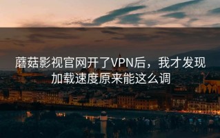 蘑菇影视官网开了VPN后，我才发现加载速度原来能这么调