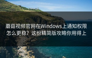 蘑菇视频官网在Windows上通知权限怎么更稳？这份精简版攻略你用得上