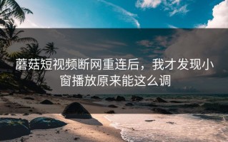 蘑菇短视频断网重连后，我才发现小窗播放原来能这么调