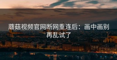 蘑菇视频官网断网重连后：画中画别再乱试了