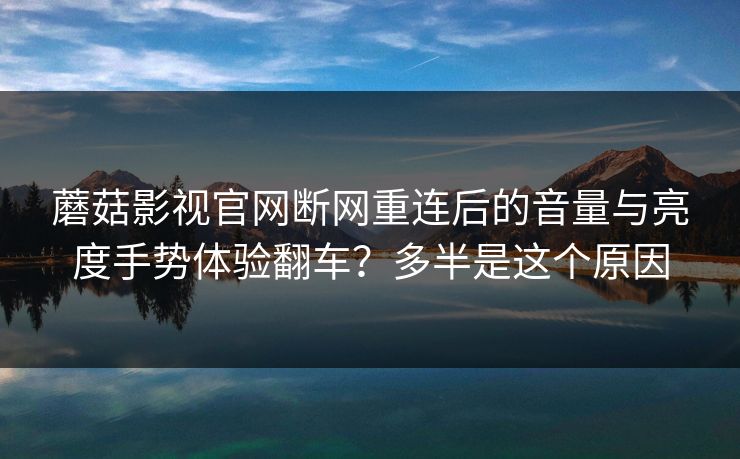 蘑菇影视官网断网重连后的音量与亮度手势体验翻车？多半是这个原因