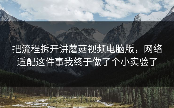 把流程拆开讲蘑菇视频电脑版，网络适配这件事我终于做了个小实验了