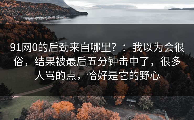 91网0的后劲来自哪里？：我以为会很俗，结果被最后五分钟击中了，很多人骂的点，恰好是它的野心