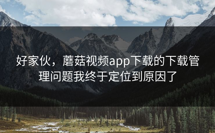 好家伙，蘑菇视频app下载的下载管理问题我终于定位到原因了