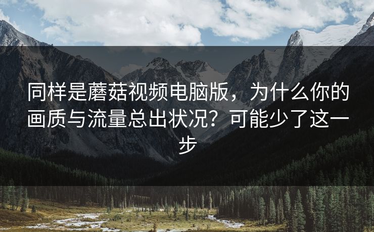 同样是蘑菇视频电脑版，为什么你的画质与流量总出状况？可能少了这一步