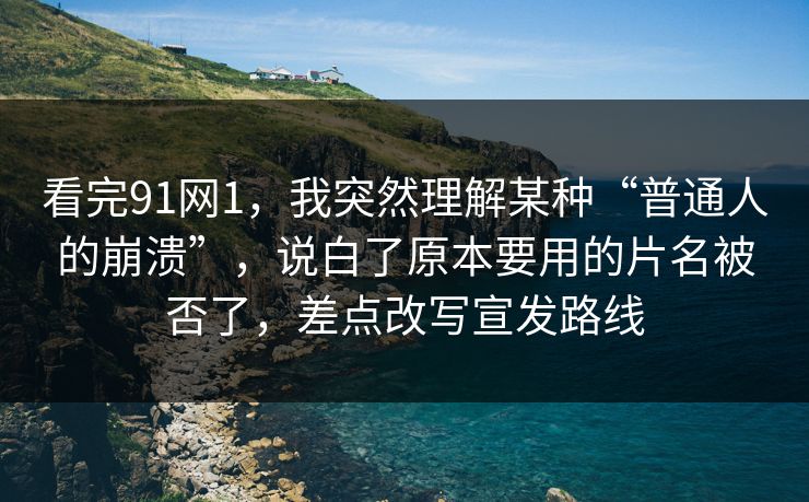 看完91网1，我突然理解某种“普通人的崩溃”，说白了原本要用的片名被否了，差点改写宣发路线