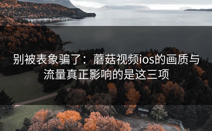 别被表象骗了：蘑菇视频ios的画质与流量真正影响的是这三项