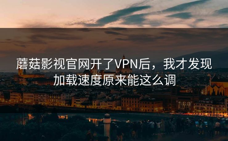 蘑菇影视官网开了VPN后，我才发现加载速度原来能这么调-第1张图片-蘑菇影视官网 - 热门影视短视频一站式平台