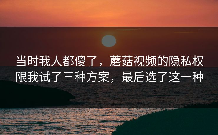当时我人都傻了，蘑菇视频的隐私权限我试了三种方案，最后选了这一种-第1张图片-蘑菇影视官网 - 热门影视短视频一站式平台